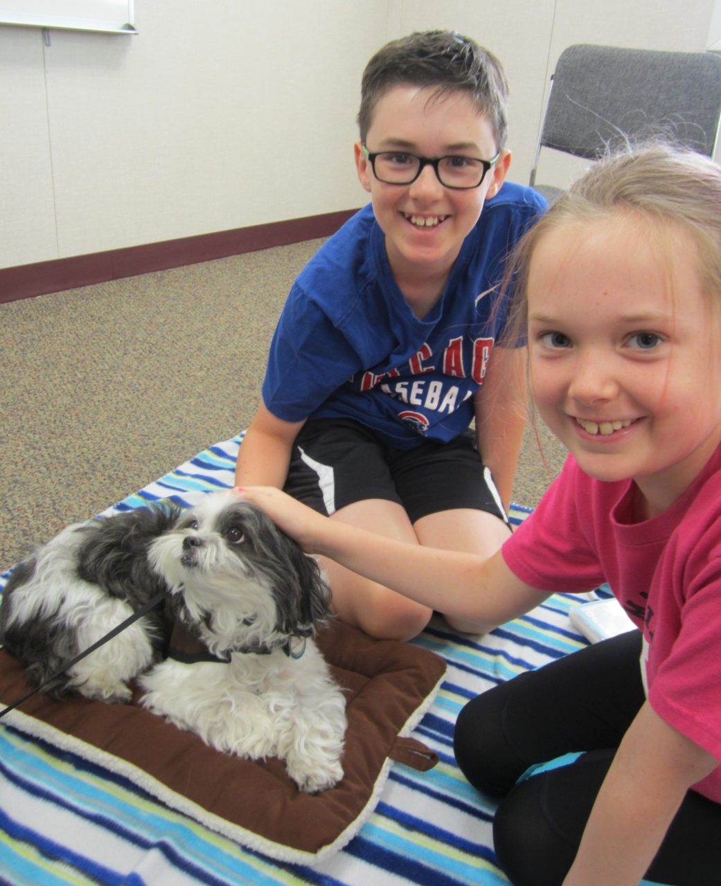 Read to a Dog July 2017 Gallery - Huntley Area Public Library