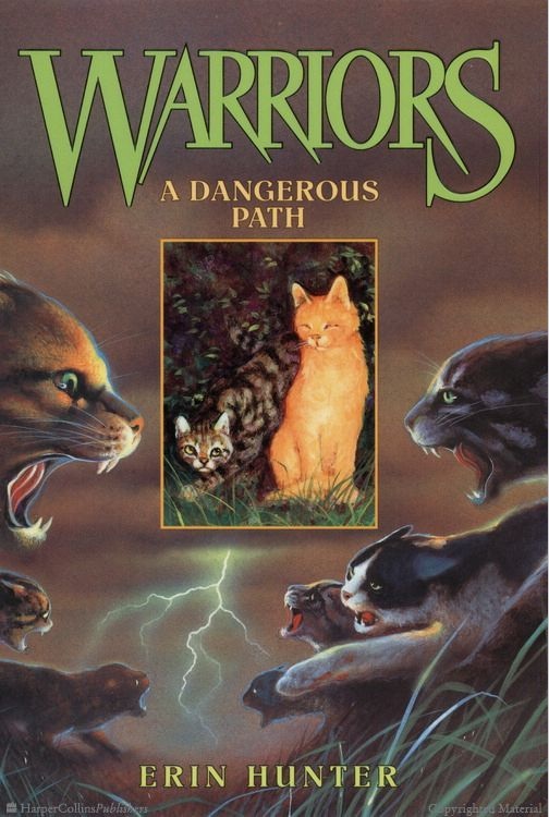 Warriors: A Dangerous Path - Read It And Rate It - Huntley Area Public ...